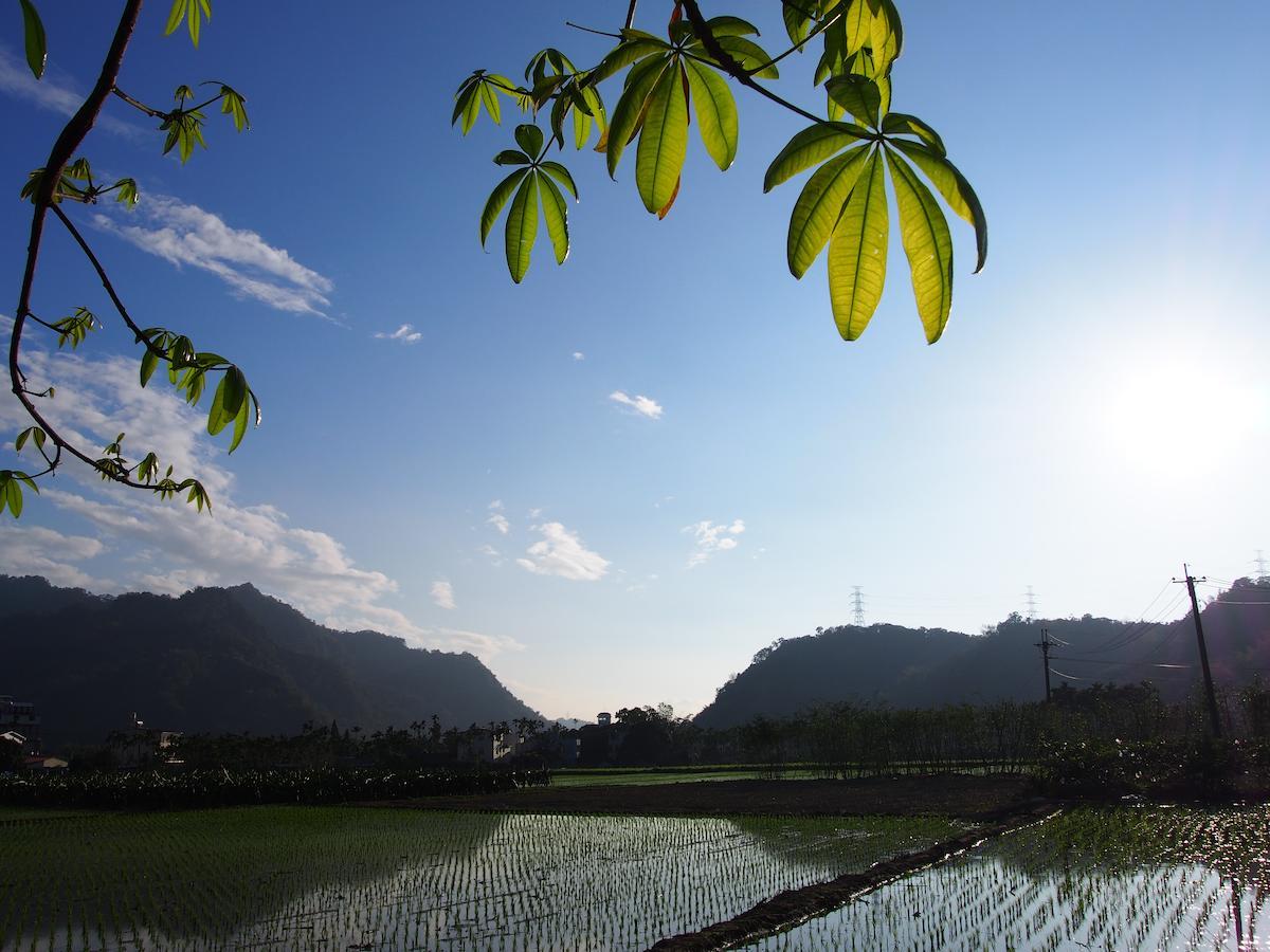 Nantou فيلا أوف بالم سبرينج المظهر الخارجي الصورة